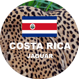 Costa Rican - Costa Rica Jaguar Honey, Single-Origin Gourmet Coffee (Arabica)